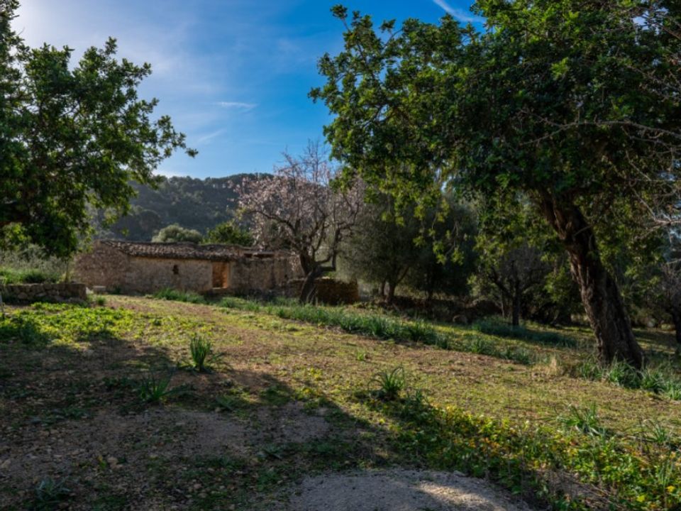 Landejendom i Alaro, Mallorca - foto 5