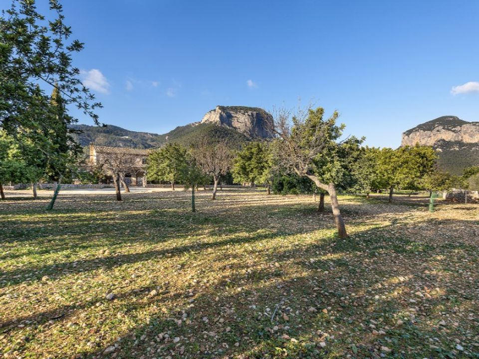 Landejendom i Alaro, Mallorca - foto 2
