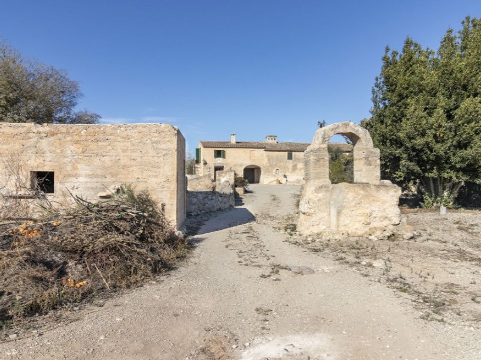 Landejendom i Ariany, Mallorca - foto 3