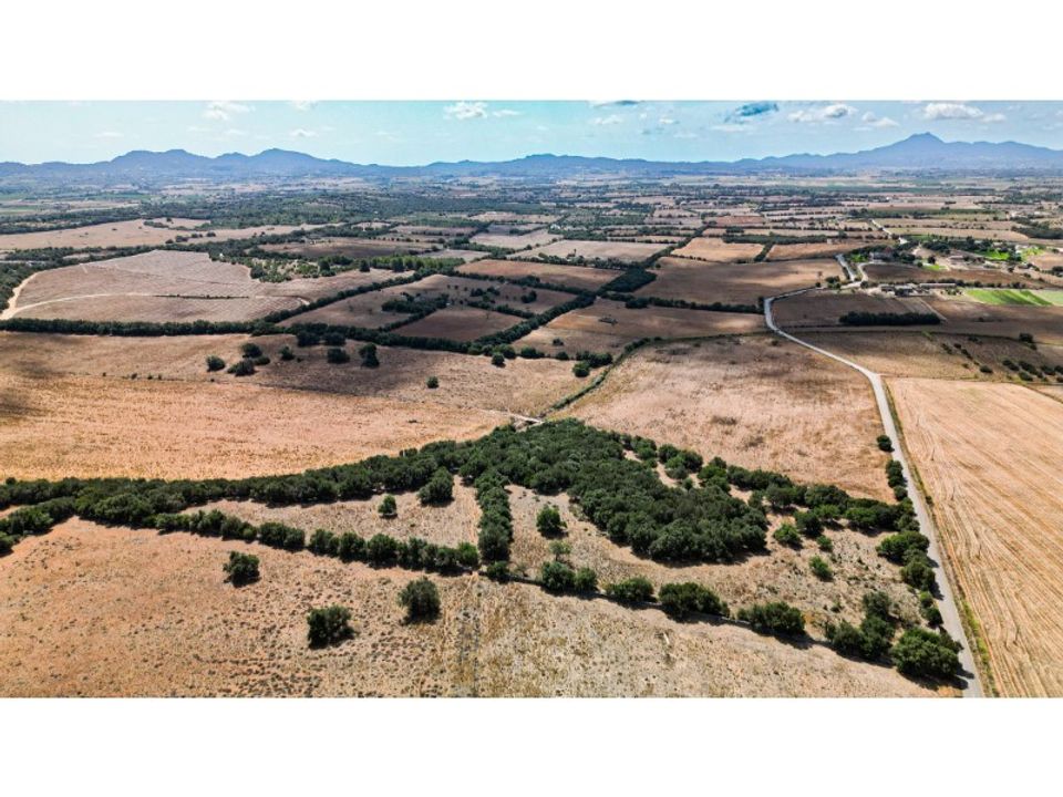 Landejendom i Manacor, Mallorca - foto 1
