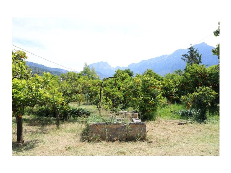 Herregård i Soller, Mallorca - bilde 5