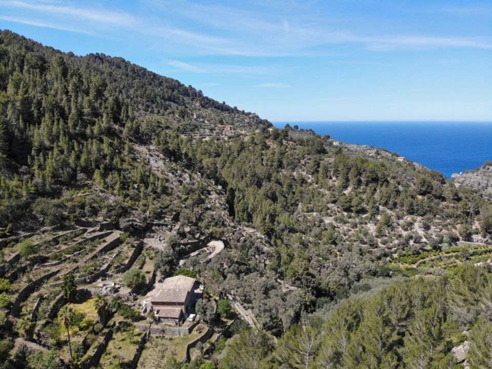 Landejendom i Deia, Mallorca - foto 3