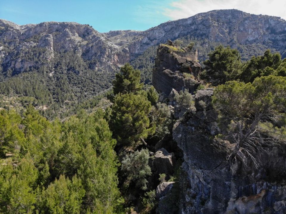 Landejendom i Deia, Mallorca - foto 4