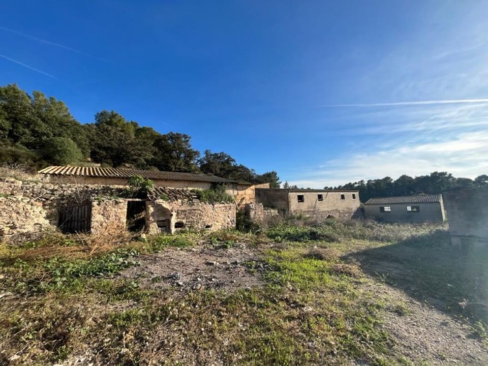 Landejendom i Sineu, Mallorca - foto 1