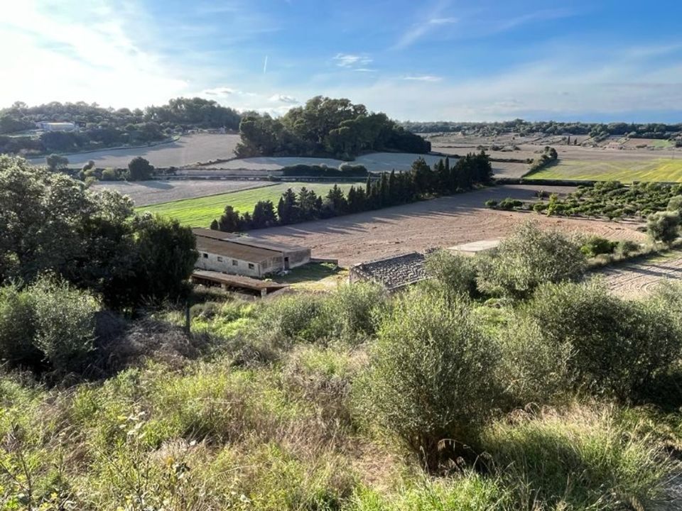 Landejendom i Sineu, Mallorca - foto 2