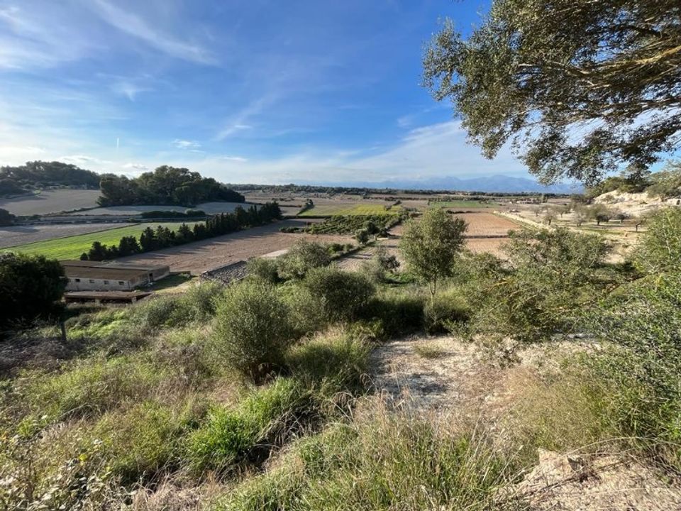Landejendom i Sineu, Mallorca - foto 3