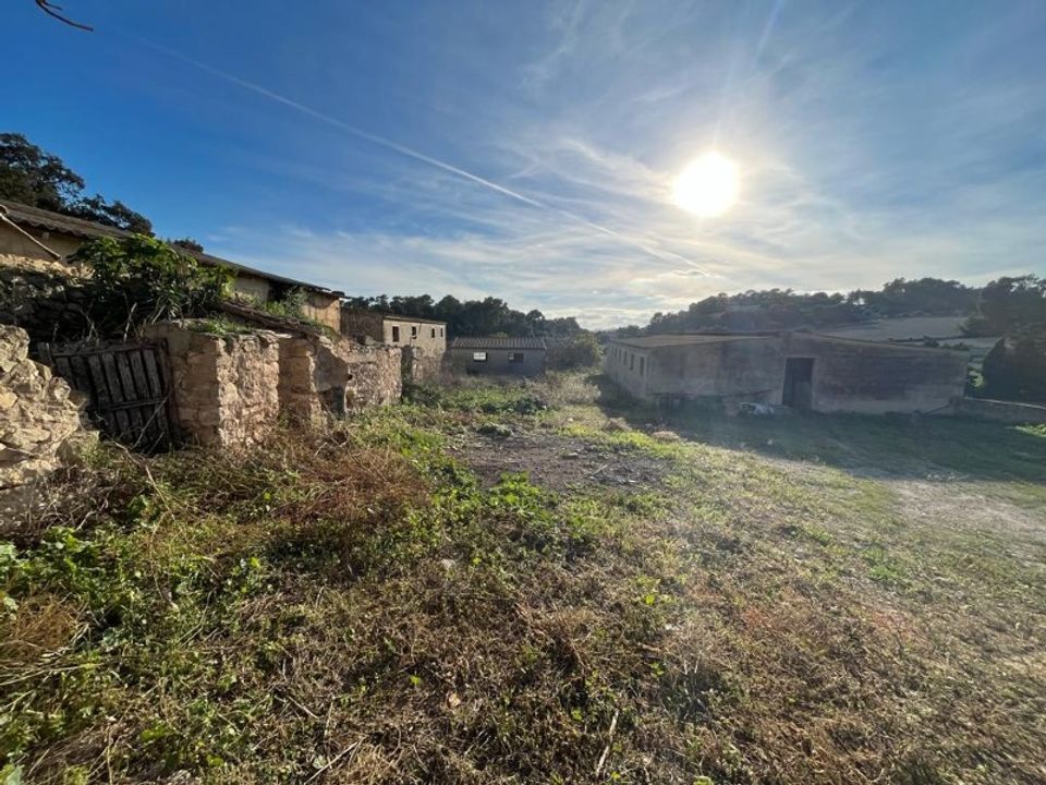Landejendom i Sineu, Mallorca - foto 5