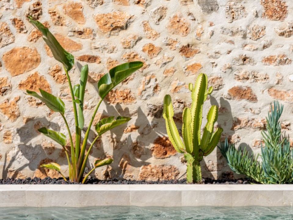 Villa i Santa Maria Del Cami, Mallorca - foto 2