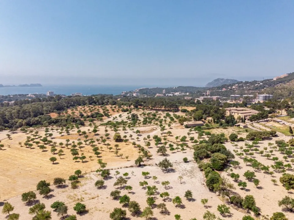 Landejendom i Calvia, Mallorca - foto 3