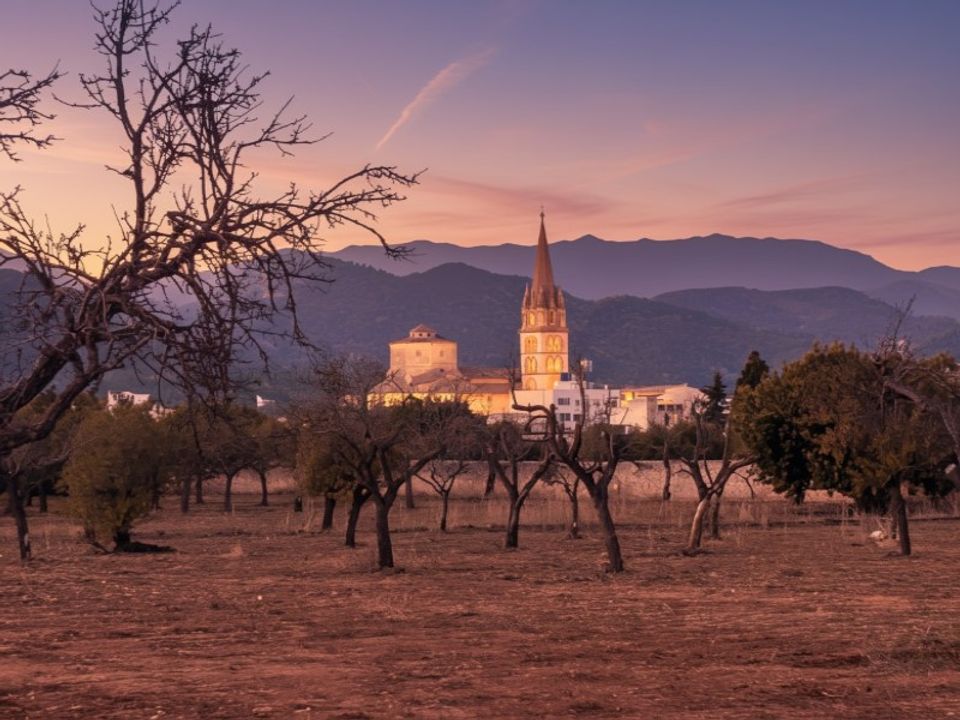Landejendom i Binissalem, Mallorca - foto 1