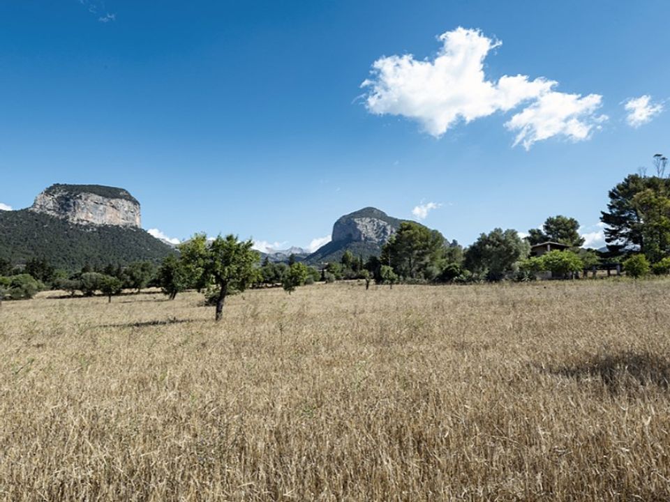 Landejendom i Alaro, Mallorca - foto 2