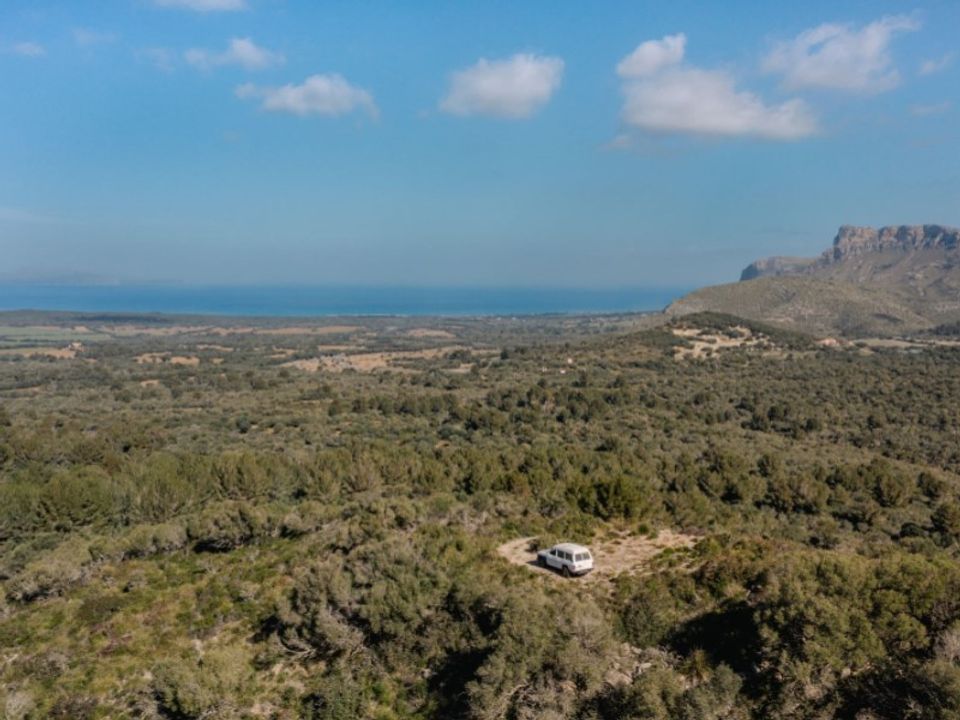 Landejendom i Arta, Mallorca - foto 2