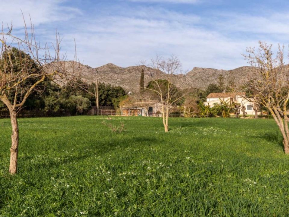 Landejendom i Pollenca, Mallorca - foto 4