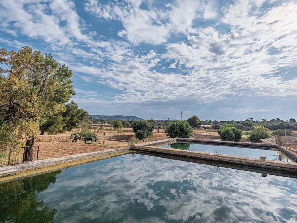Landejendom i Puntiro, Mallorca - foto 2