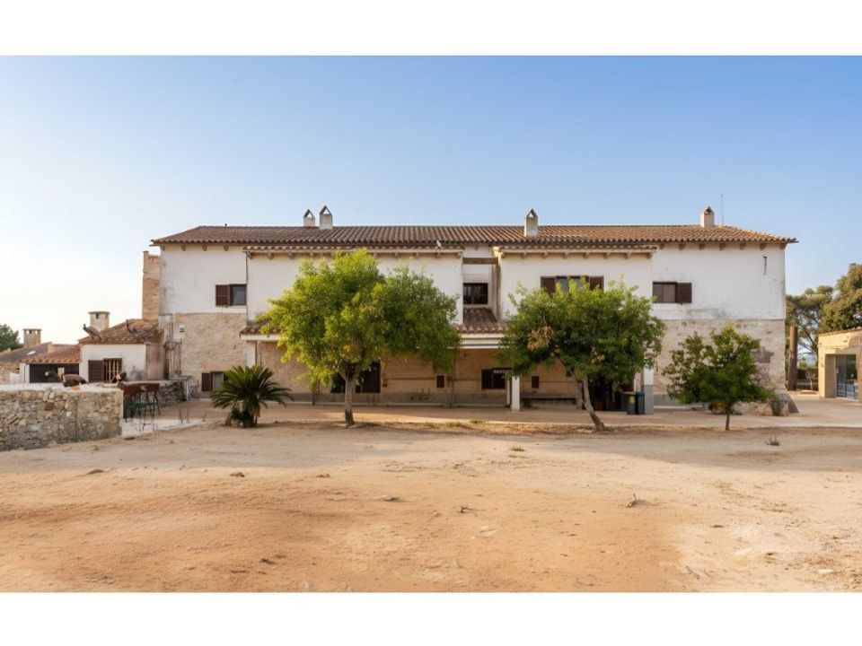 Landejendom i Lloret De Vistalegre, Mallorca - foto 4