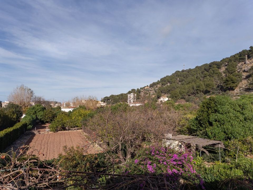Landejendom i Soller, Mallorca - foto 5