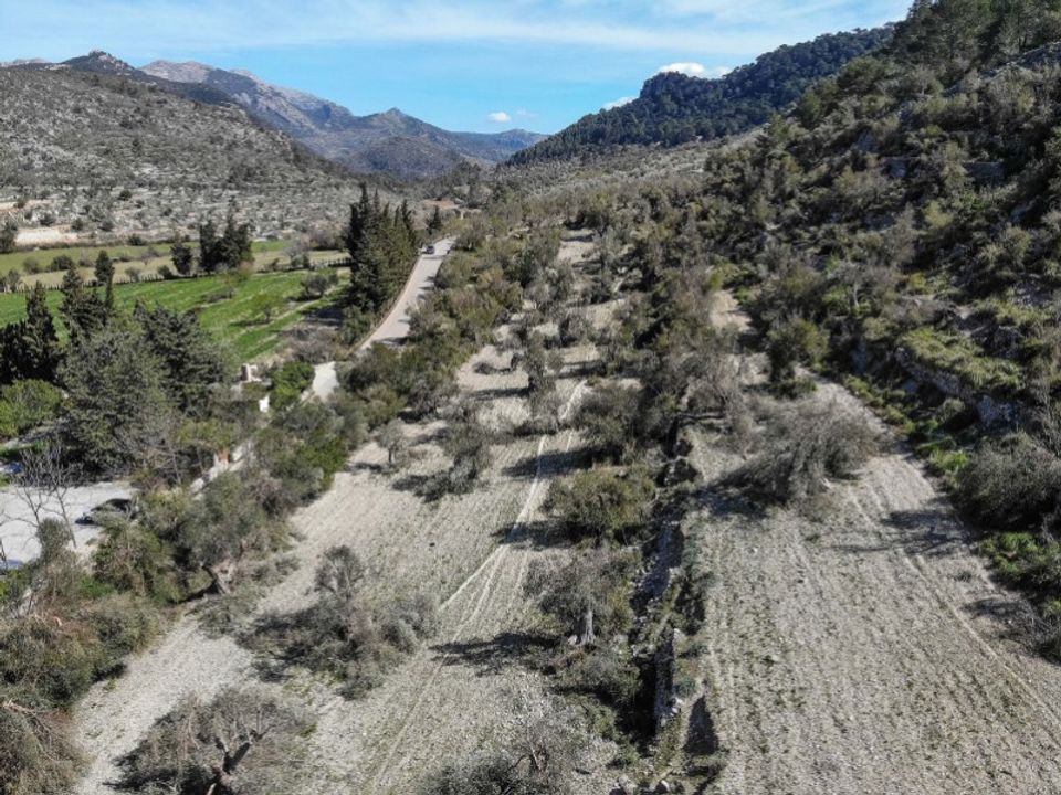 Landejendom i Bunyola, Mallorca - foto 5