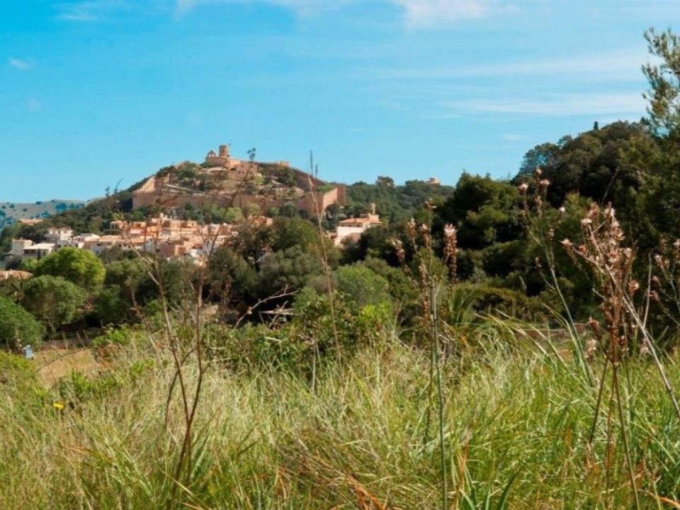 Helårsgrund i Capdepera, Mallorca - foto 2
