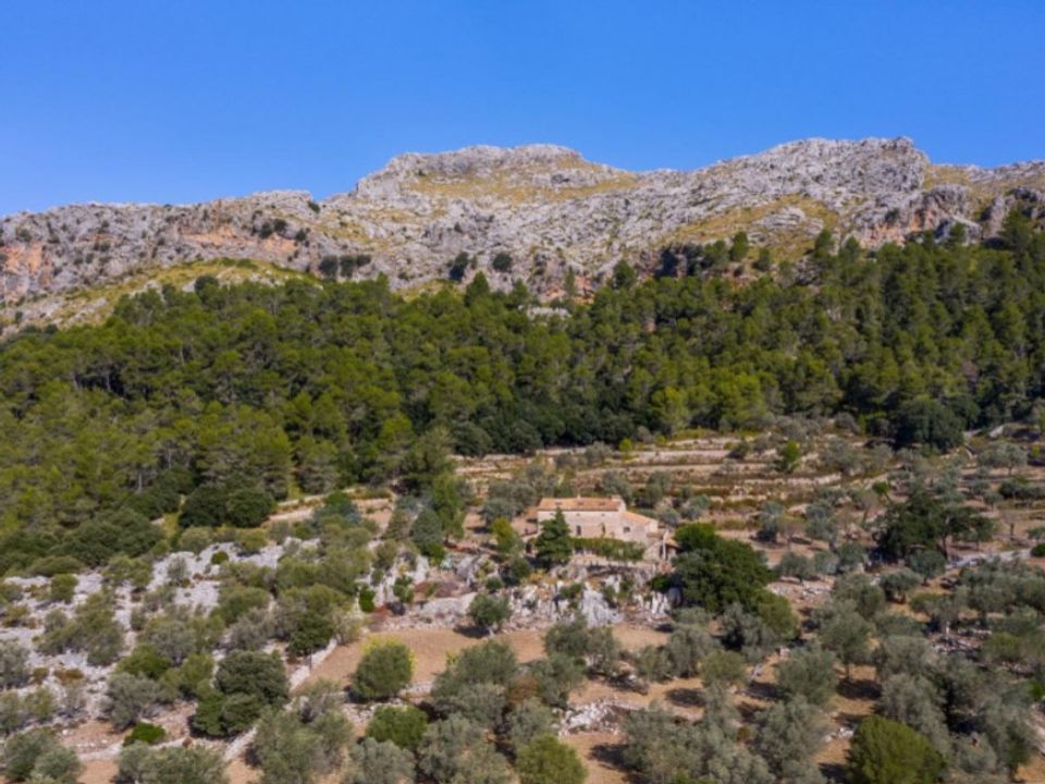 Landejendom i Pollenca, Mallorca - foto 3