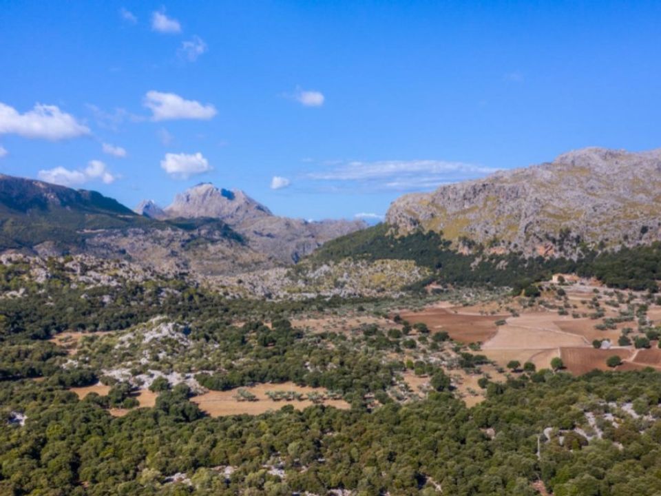 Landejendom i Pollenca, Mallorca - foto 4