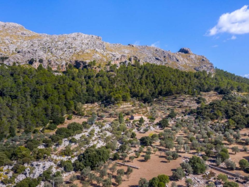 Landejendom i Pollenca, Mallorca - foto 5