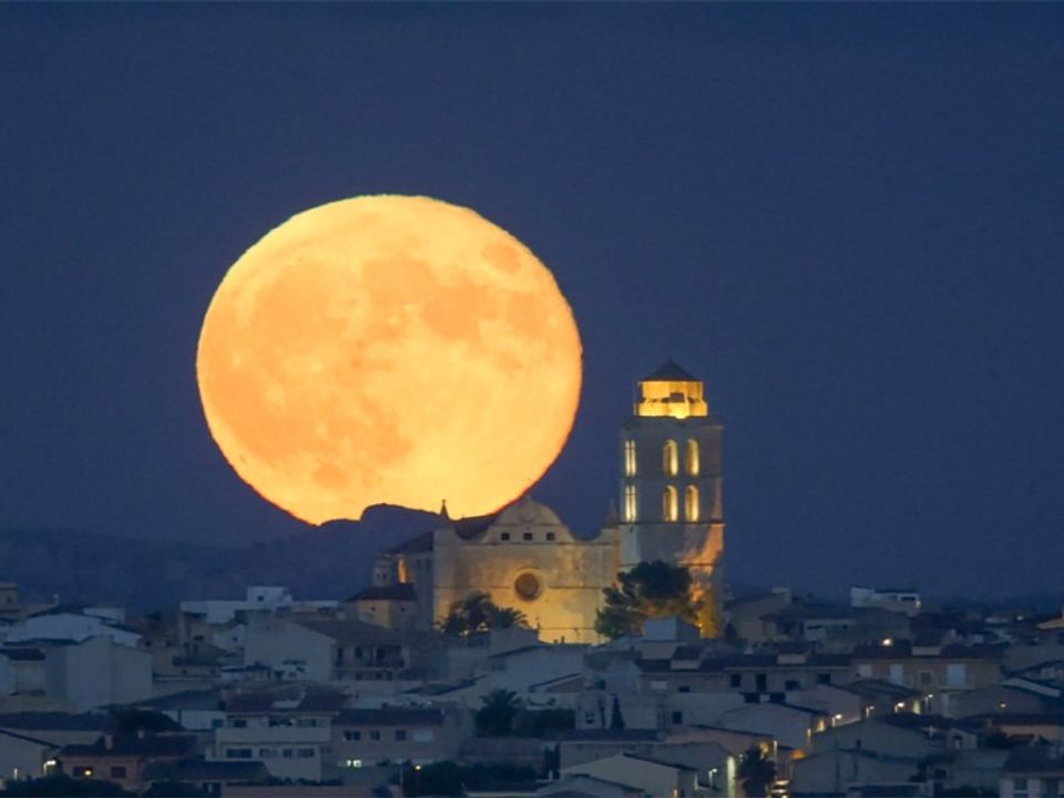 Erhvervsejendom i Sineu, Mallorca - foto 1