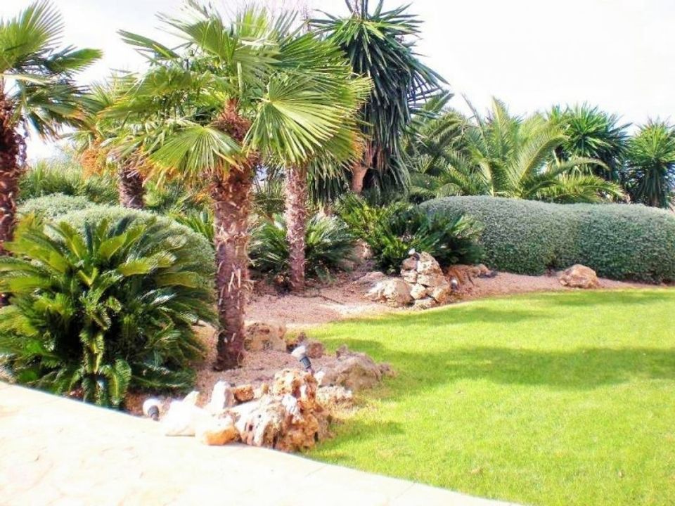 Herregård i Petra, Mallorca - bilde 2