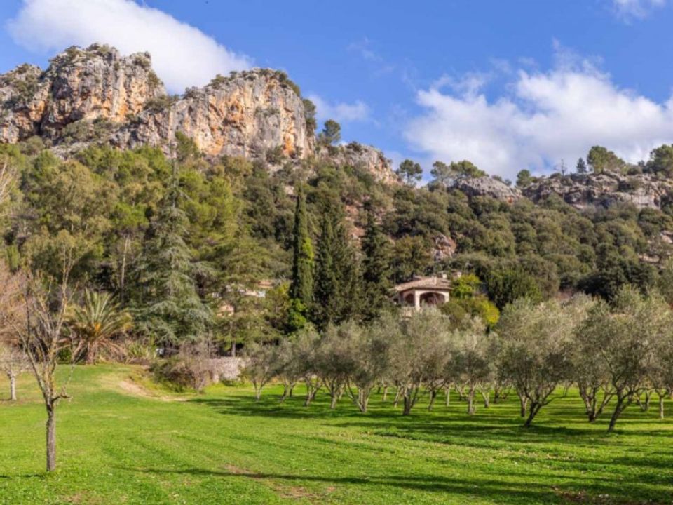 Landejendom i Escorca, Mallorca - foto 3