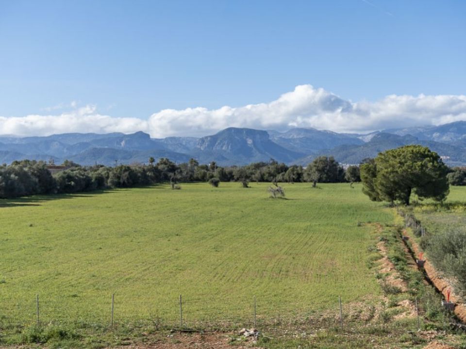 Landejendom i Sencelles, Mallorca - foto 5