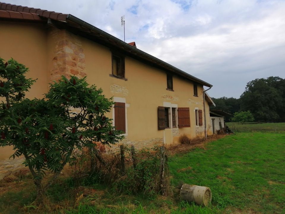 Farm hus i Saint-Etienne-sur-Reyssouze, Ain - foto 2