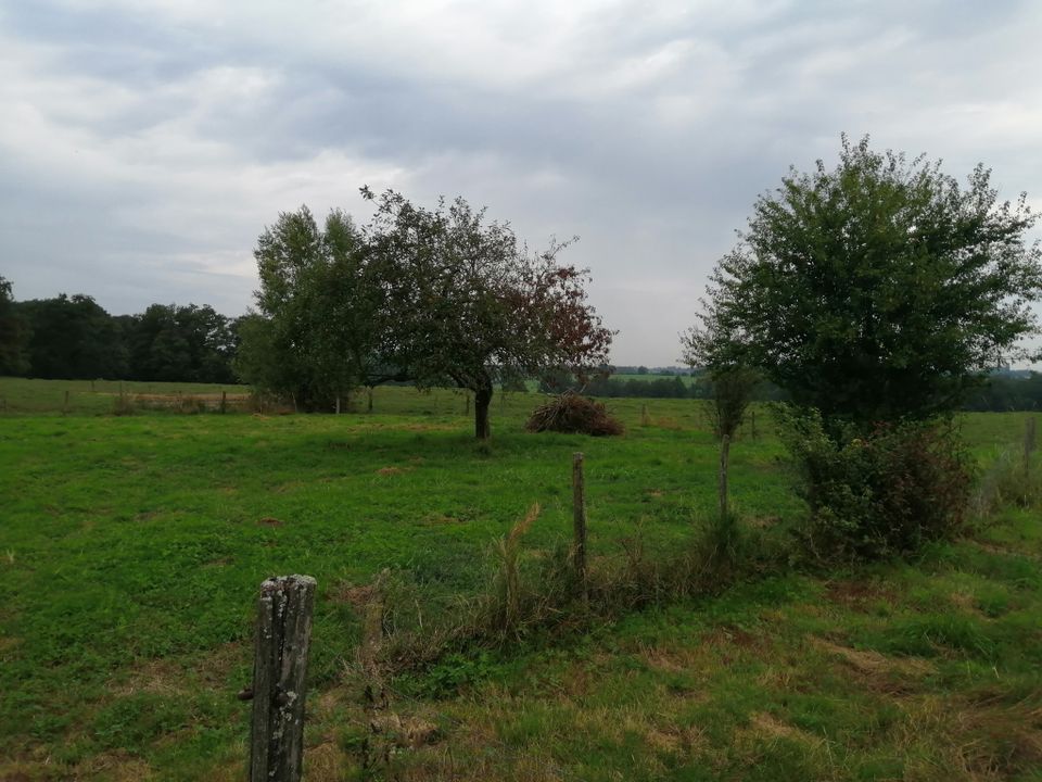 Farm hus i Saint-Etienne-sur-Reyssouze, Ain - foto 5