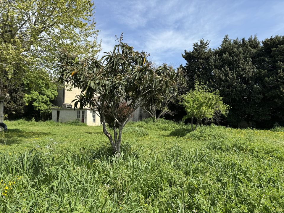 Helårsgrund i Caderousse, Vaucluse - foto 1