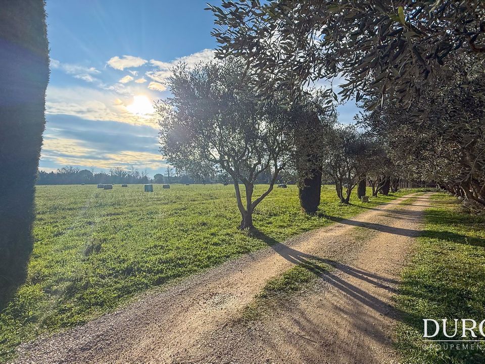Gårdshus i Vedène, Vaucluse - bilde 3