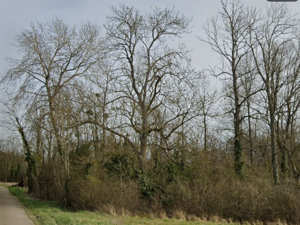Helårsgrund i Saint-Florentin, Yonne - foto 3