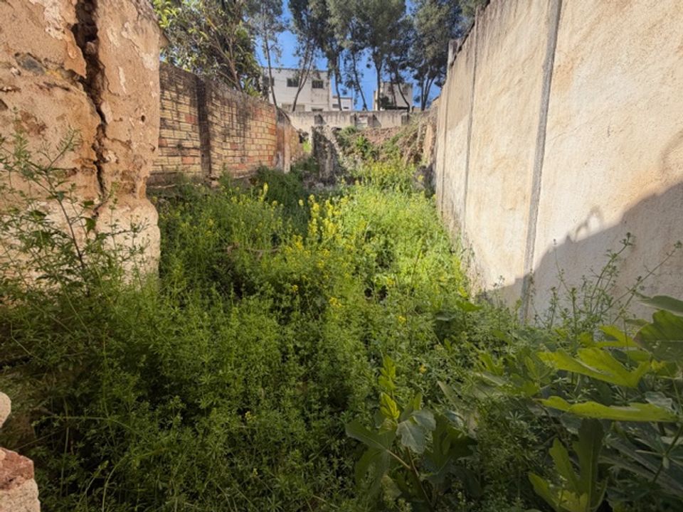 Helårsgrund i Cuevas Bajas, Malaga - foto 4