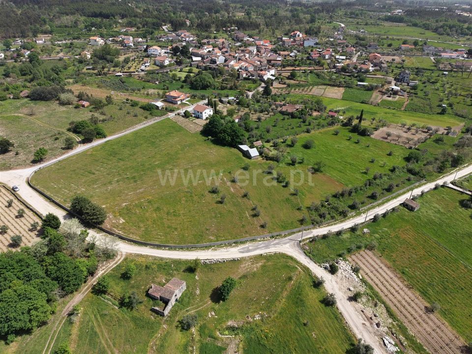 Erhvervsejendom i Mangualde, Viseu - foto 1