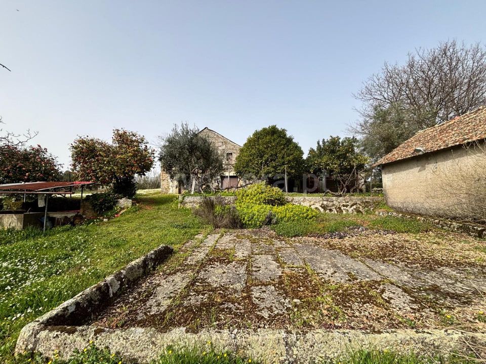 Erhvervsejendom i Mangualde, Viseu - foto 5