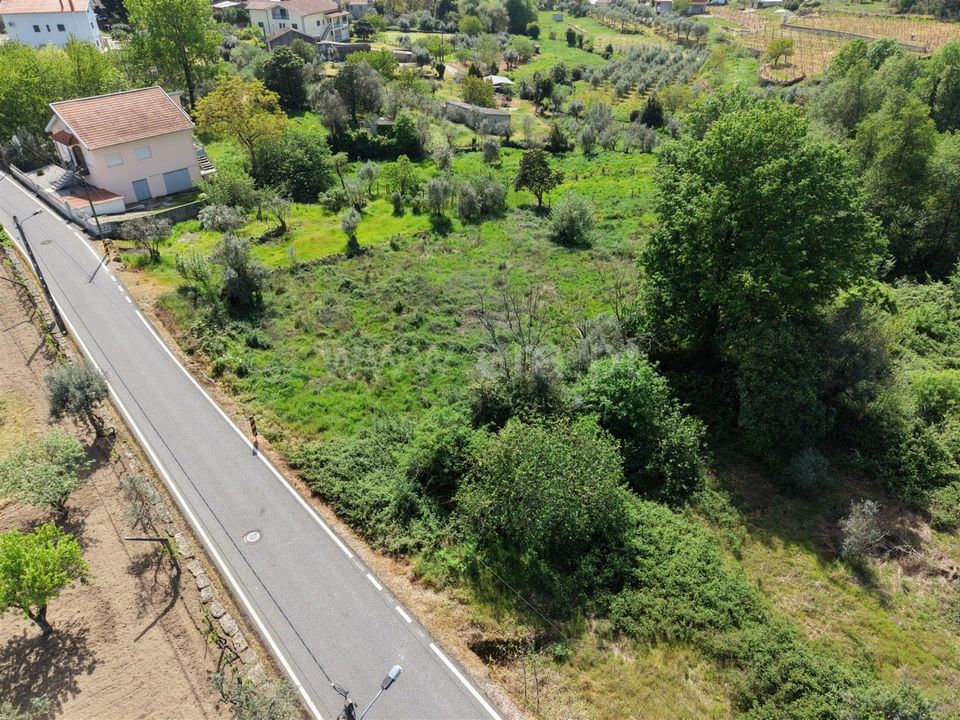 Helårsgrund i Mangualde, Viseu - foto 4
