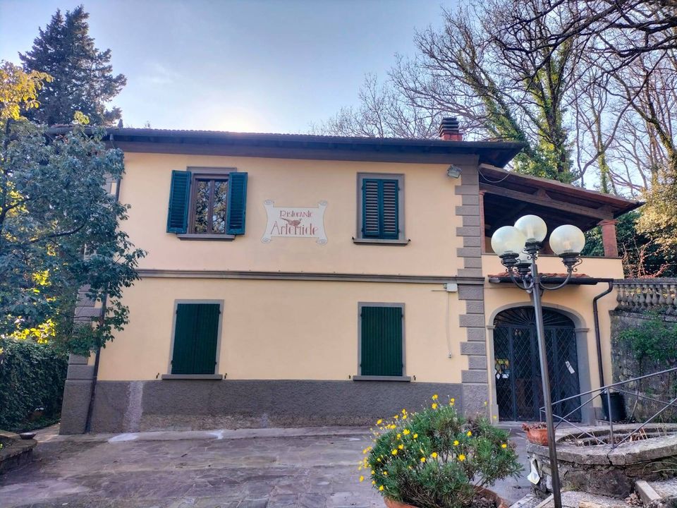 Erhvervsejendom i Pontassieve, Florence - foto 1