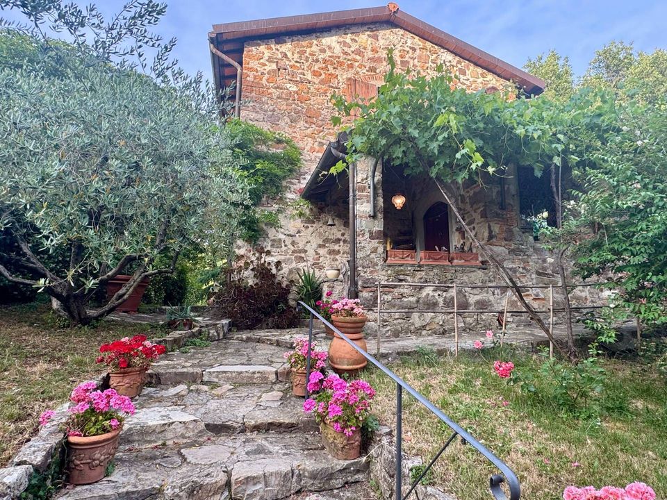 Herregård i Pontassieve, Florence - bilde 4