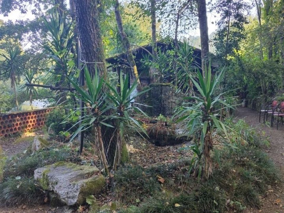 Helårsgrund i Oliveira de Azemeis, Aveiro - foto 5