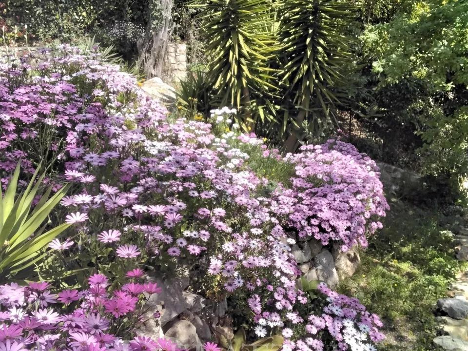 Villa i Chateauneuf-Grasse, Alpes-Maritimes - foto 3