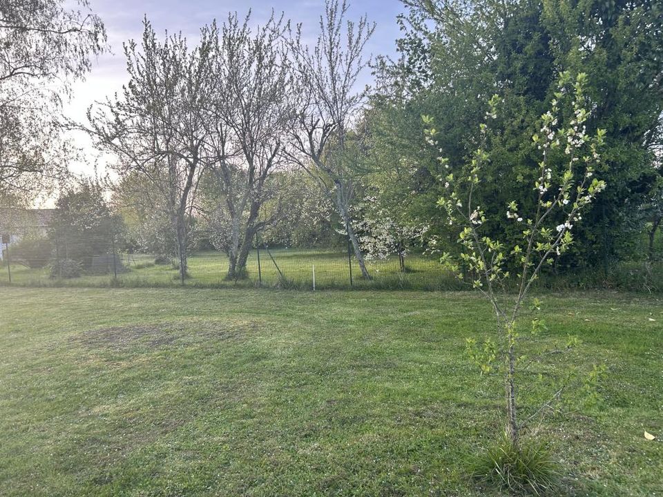 Villa i Martillac, Gironde - bilde 4