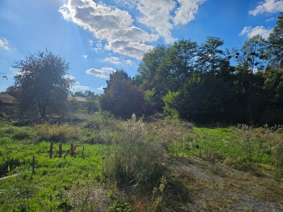 Tomt i Martillac, Gironde - bilde 5