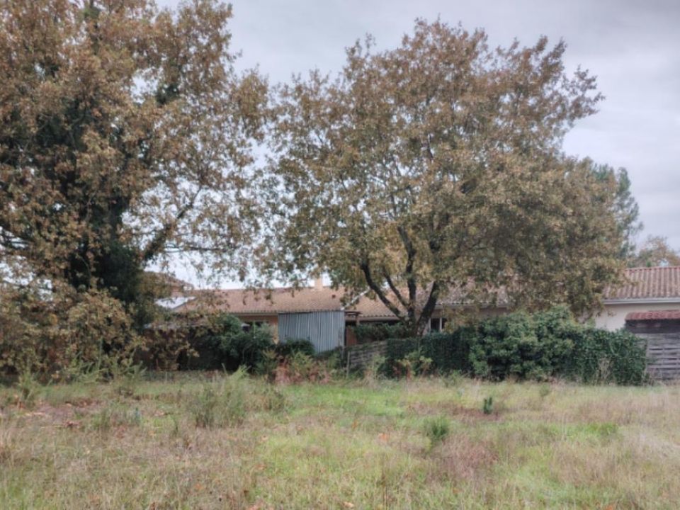 Terra a Belin-Béliet, Gironde - foto 1