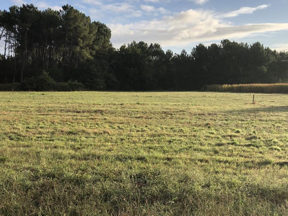 Villa i Le Teich, Gironde - foto 1