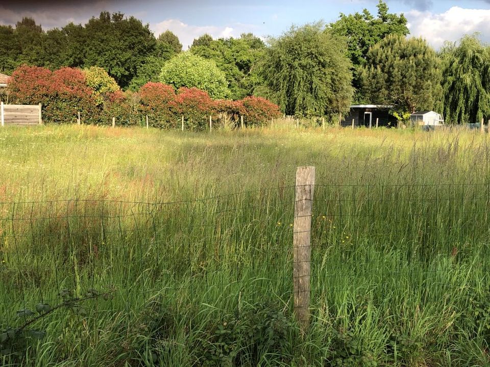 Villa i Le Teich, Gironde - foto 1