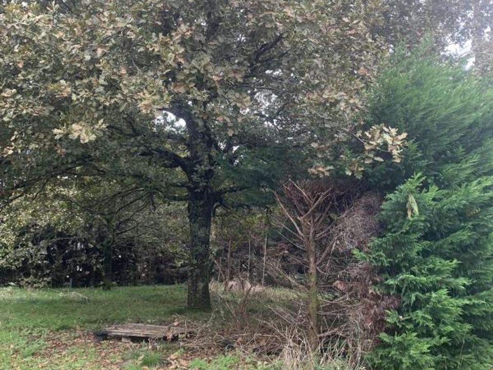 Villa i Gujan-Mestras, Gironde - foto 3