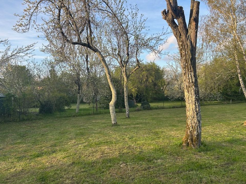 Tomt i Martillac, Gironde - bilde 2