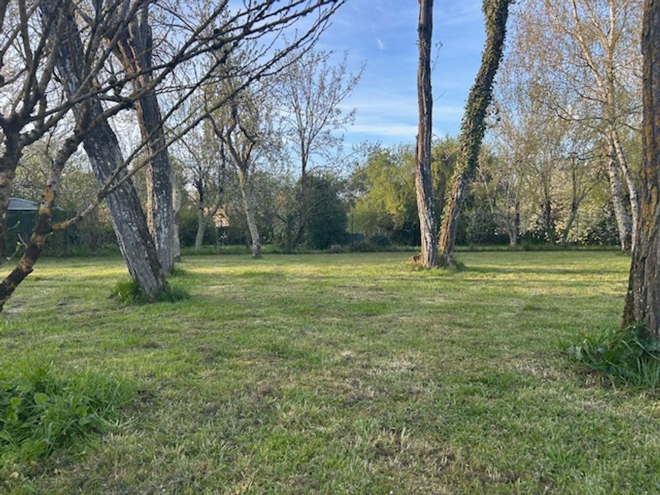 Tomt i Martillac, Gironde - bilde 3